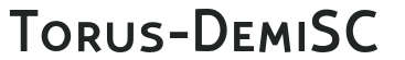 Torus-DemiSC preview
