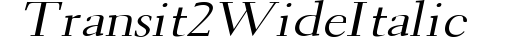 Transit 2 Wide Italic preview