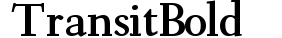 Transit Bold preview
