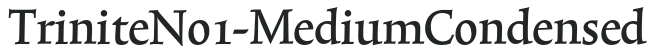 TriniteNo1-MediumCondensed preview