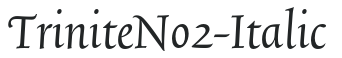 TriniteNo2-Italic preview