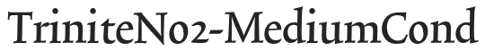 TriniteNo2-MediumCond letters preview