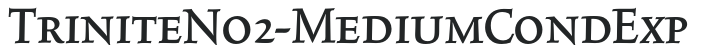 TriniteNo2-MediumCondExp letters preview