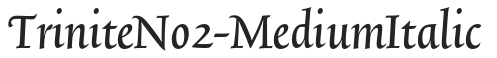 TriniteNo2-MediumItalic preview
