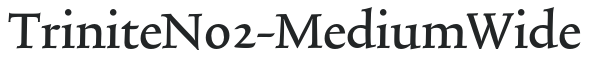 TriniteNo2-MediumWide preview