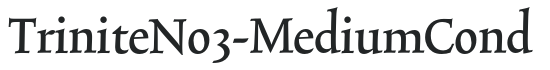 TriniteNo3-MediumCond letters preview