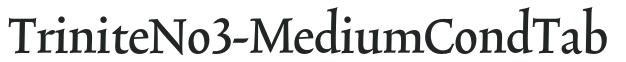 TriniteNo3-MediumCondTab letters preview