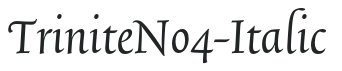 TriniteNo4-Italic preview