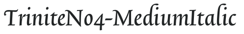 TriniteNo4-MediumItalic preview