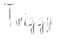 Twiggy preview