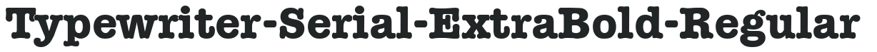 Typewriter-Serial-ExtraBold-Regular preview