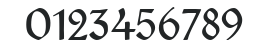 Typographer Rotunda Alt numbers preview