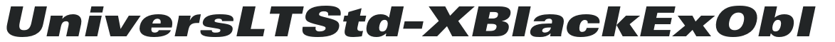 UniversLTStd-XBlackExObl preview