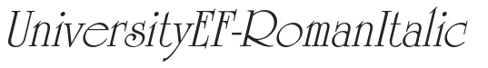UniversityEF-RomanItalic preview