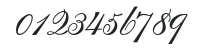 UniversityScript-Regular numbers preview