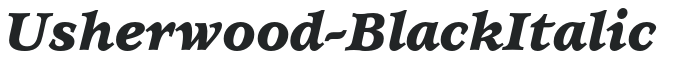 Usherwood-BlackItalic preview