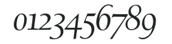 Village-Italic numbers preview