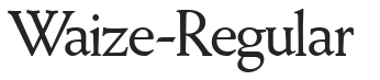 Waize-Regular letters preview