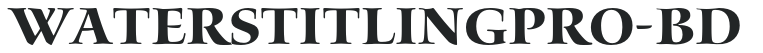 WatersTitlingPro-Bd preview