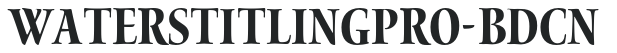 WatersTitlingPro-BdCn preview