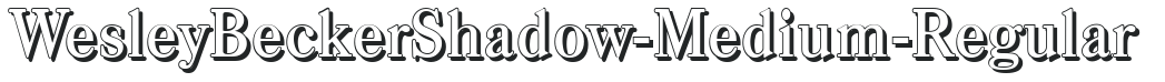 WesleyBeckerShadow-Medium-Regular preview