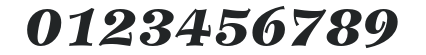 Wilke-BlackItalic numbers preview