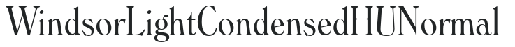 Windsor LightCondensed HU Normal preview