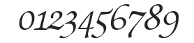 ZabriskieScriptSwash-RegularItalic numbers preview