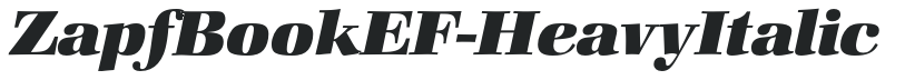 ZapfBookEF-HeavyItalic preview