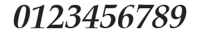 Zapf Calligraphic801 HU Bold Italic numbers preview