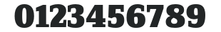 ZineSerifDis-BlackRoman numbers preview