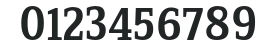 ZineSerifDis-MediumRoman numbers preview