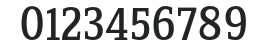 ZineSerifDis-RegularRoman numbers preview