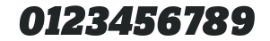ZineSlabDis-BlackItalic numbers preview