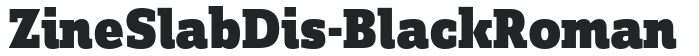 ZineSlabDis-BlackRoman preview