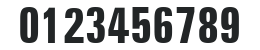 Zurich ExtraCondensed HU Bold numbers preview